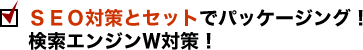 ＳＥＯ対策とセットでパッケージング！
検索エンジンＷ対策！