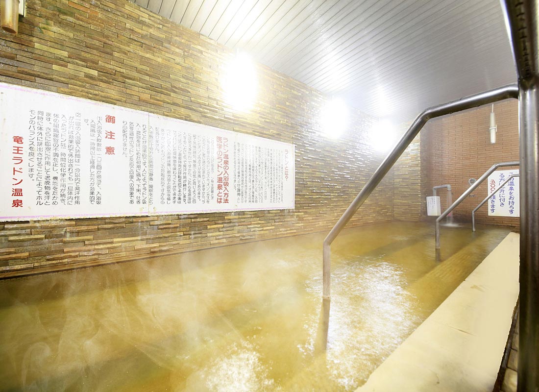 【竜王ラドン温泉】SEOサービスの導入事例イメージ2