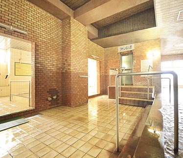 【竜王ラドン温泉】SEOサービスの導入事例イメージ6